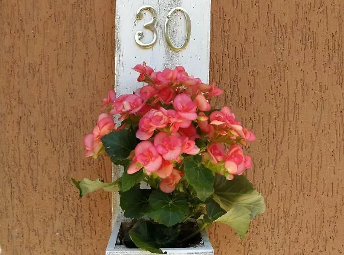 Гостевой дом Il Giardino Di Sara